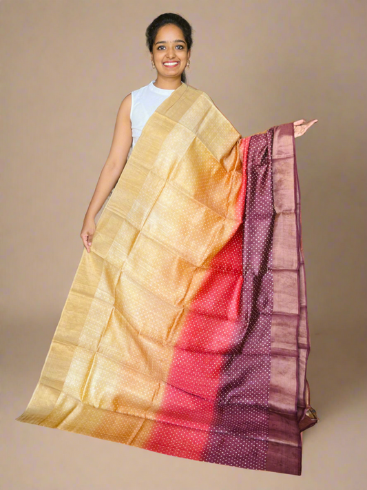 Sandal and Maroon Tussar Silk Saree with Print